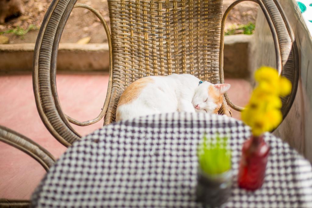 Hotel Baan Kati Sod Pai Zewnętrze zdjęcie